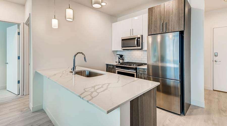 אפרטהוטל שיקגו Sentral Michigan Avenue מראה חיצוני תמונה Kitchen