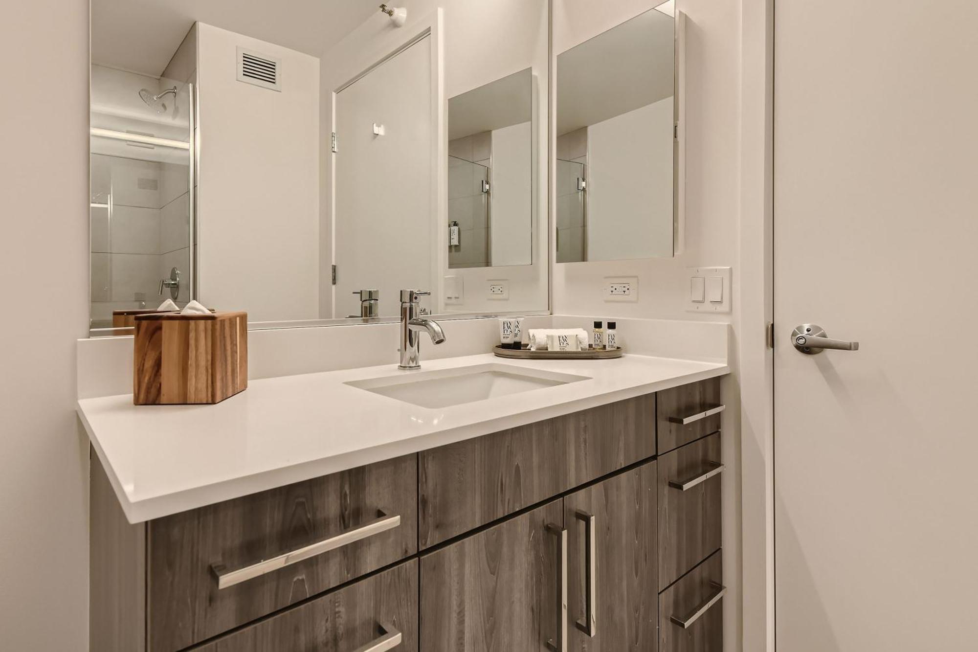 אפרטהוטל שיקגו Sentral Michigan Avenue חדר תמונה Bathroom